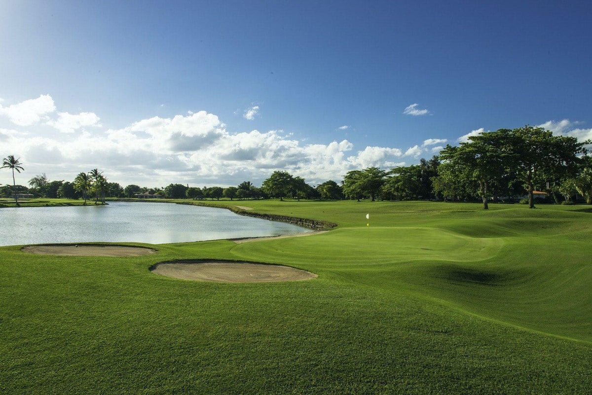 The Links