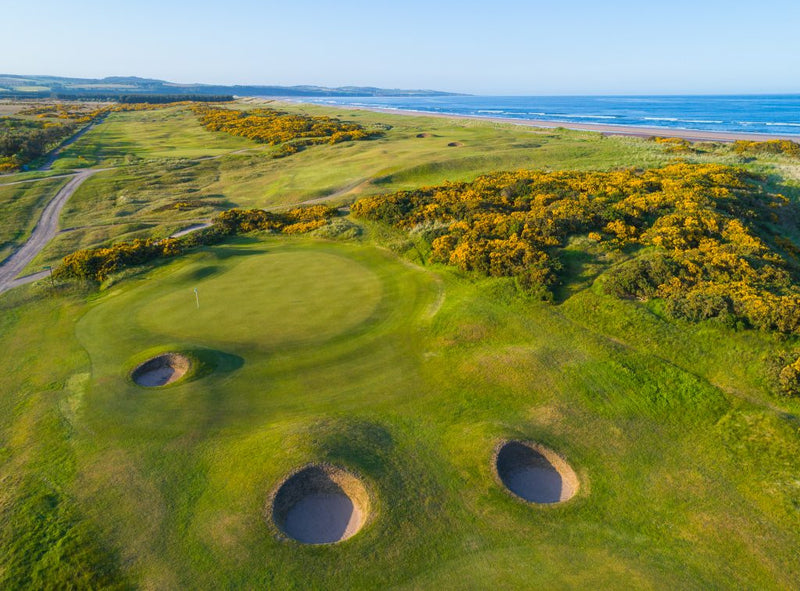 Montrose Links