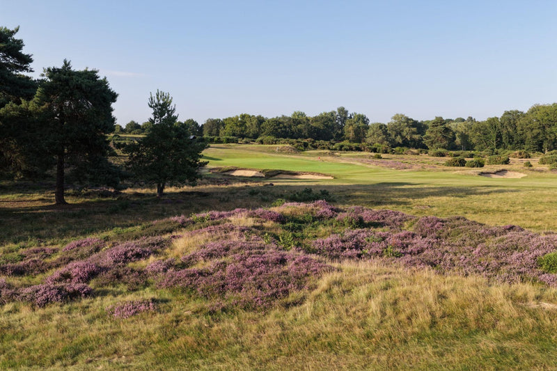 Woodbridge Golf Club